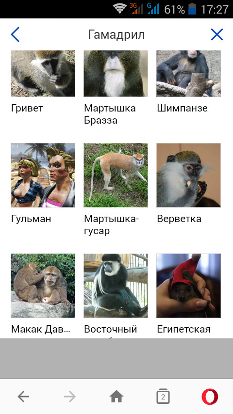 A new kind of monkey - My, Gulman, Yandex., Monkey, Games