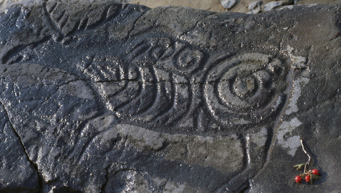 New petroglyphs discovered in Khabarovsk Territory - My, Petroglyphs, Rock painting, Drawing, Khabarovsk, Archeology