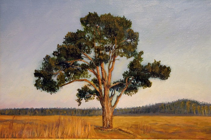 Painting Tree in the field near Karmolino, oil, canvas. - My, , , Oil painting, Work, Painting, Butter, Tree, Field