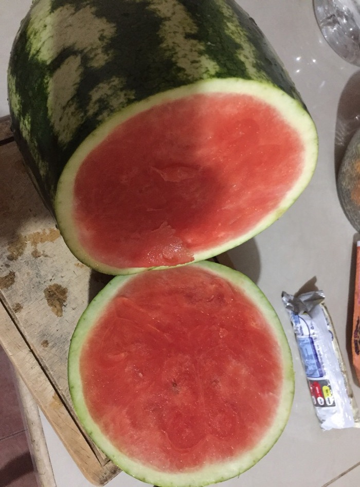 Опять эти сбои в матрице...