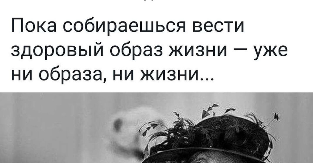 Пока соберешься вести здоровый образ жизни уже ни образа ни жизни картинка