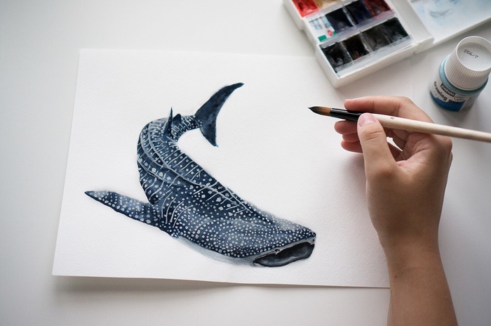 Whale shark. Watercolor. - My, Whale shark, Shark, Art, Watercolor, Drawing, A fish, Marine life