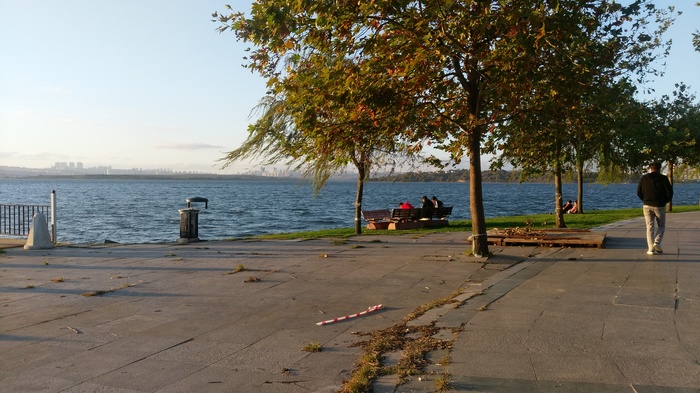 Shore of a small city lake, Istanbul - The park, Istanbul, My, Lake