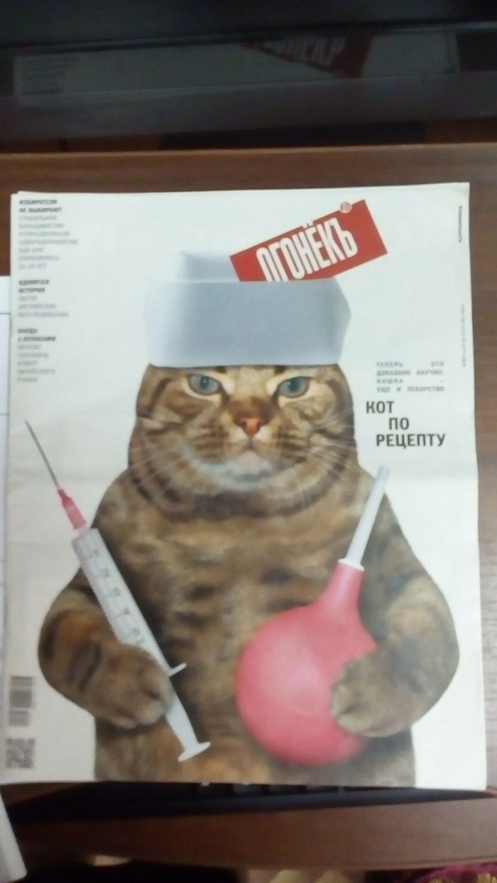 Ogonyok Magazine - My, cat, Ogonyok Magazine