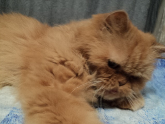 Опять про ТБ