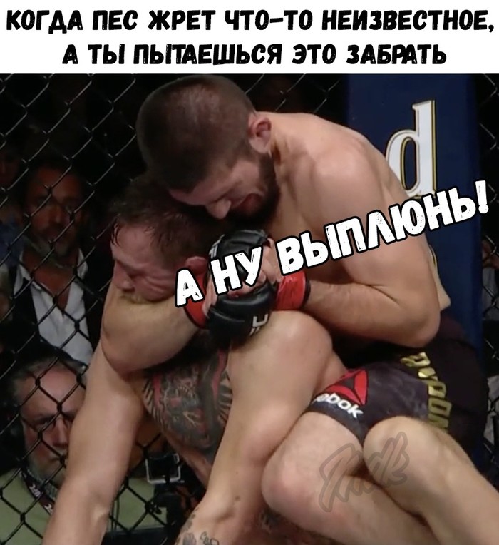    , , ,  ,  , UFC
