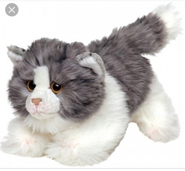 Request for a toy. - My, Moscow, No rating, Help, Soft toy, cat