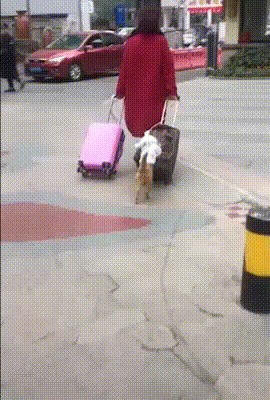 Ну что бы ты без меня делала?!