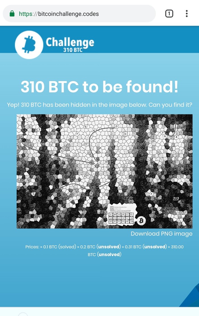 Mystery for 310 bitcoins - , Mystery, Bitcoins