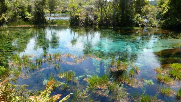 Места с самой чистой водой - Природа, Красота, Чистота, Длиннопост