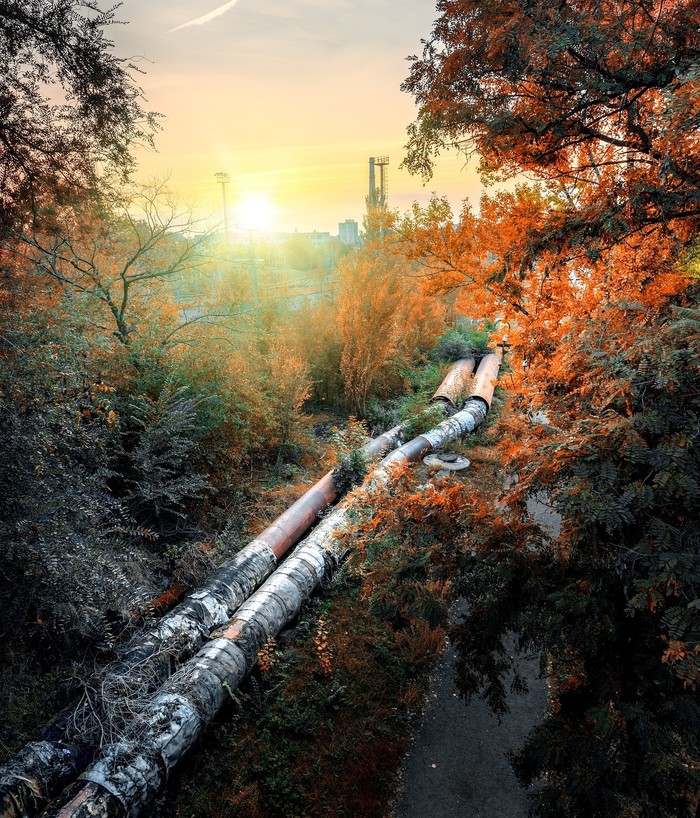 ������� ����������������� ����������) Nikon D610 | 14-24