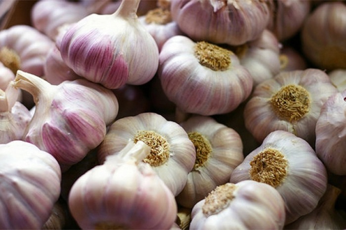 Time to plant garlic gentlemen! - My, Garlic, Garden, Vegetables, Farmer, Dacha, Summer residents