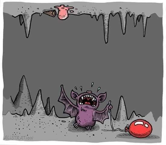 Bat problems - Images, Bat, Caves, Ball, Ice cream