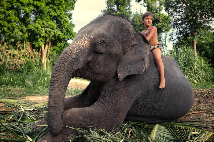 Mauglee by Verbena's Dream Studio ,  , ,  , The Jungle Book, Mauglee, 