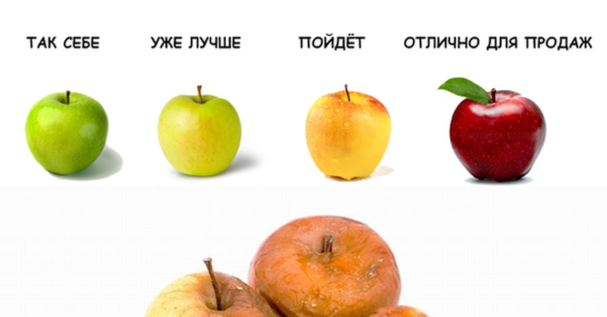 Вкус этого сезона | Пикабу