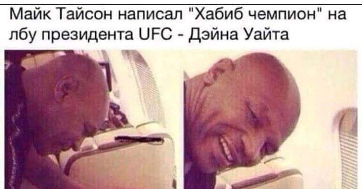 Женщина спит в самолете. Чужие дали в самолете не поспали. Чужие дали в самолете не поспали. Бортпроводник спит. Спящая пассажирка в самолете.