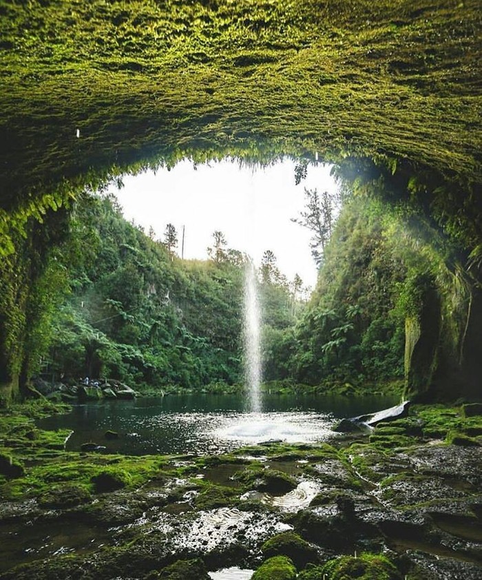 Hidden waterfall Tauranga, New Zealand. - beauty, Nature, beauty of nature, The photo, New Zealand, Waterfall