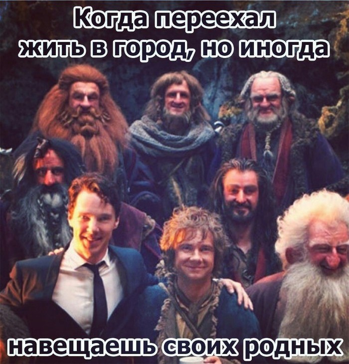 When he moved to live in the city - Benedict Cumberbatch, Humor, Memes, The hobbit