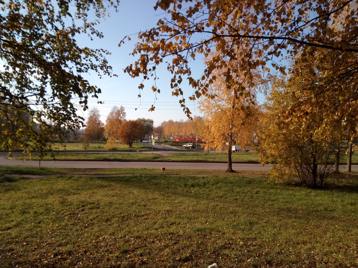 Autumn colors - My, Autumn, The photo, Boksitogorsk, Leningrad region