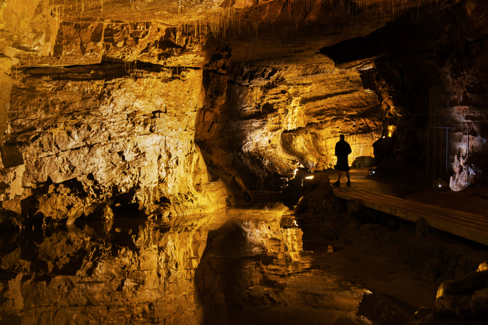 Путешествие в Уэльс. Часть 1. Путешествия, Англия, Уэльс, Фотография, Горы, Овцы красивые животные, Длиннопост