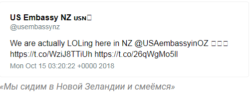 The US Embassy in Australia accidentally sent out invitations with a picture of a cat in pajamas by e-mail - cat, Animals, USA, Error, Longpost