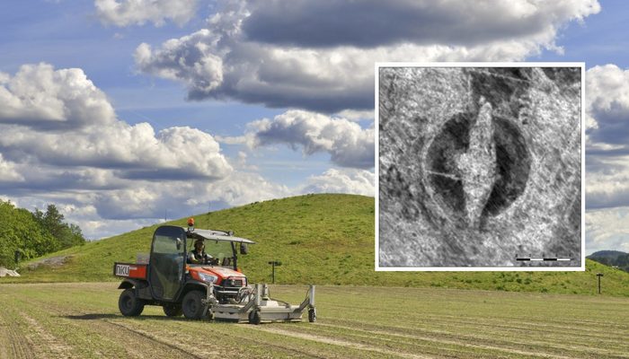 Викинги в полях: ученые нашли древний деревянный корабль - Археология, Открытие, Наука, Викинги, Корабль, Длиннопост