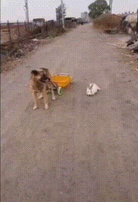 - Сколько до центра? - Косарь - Поехали!