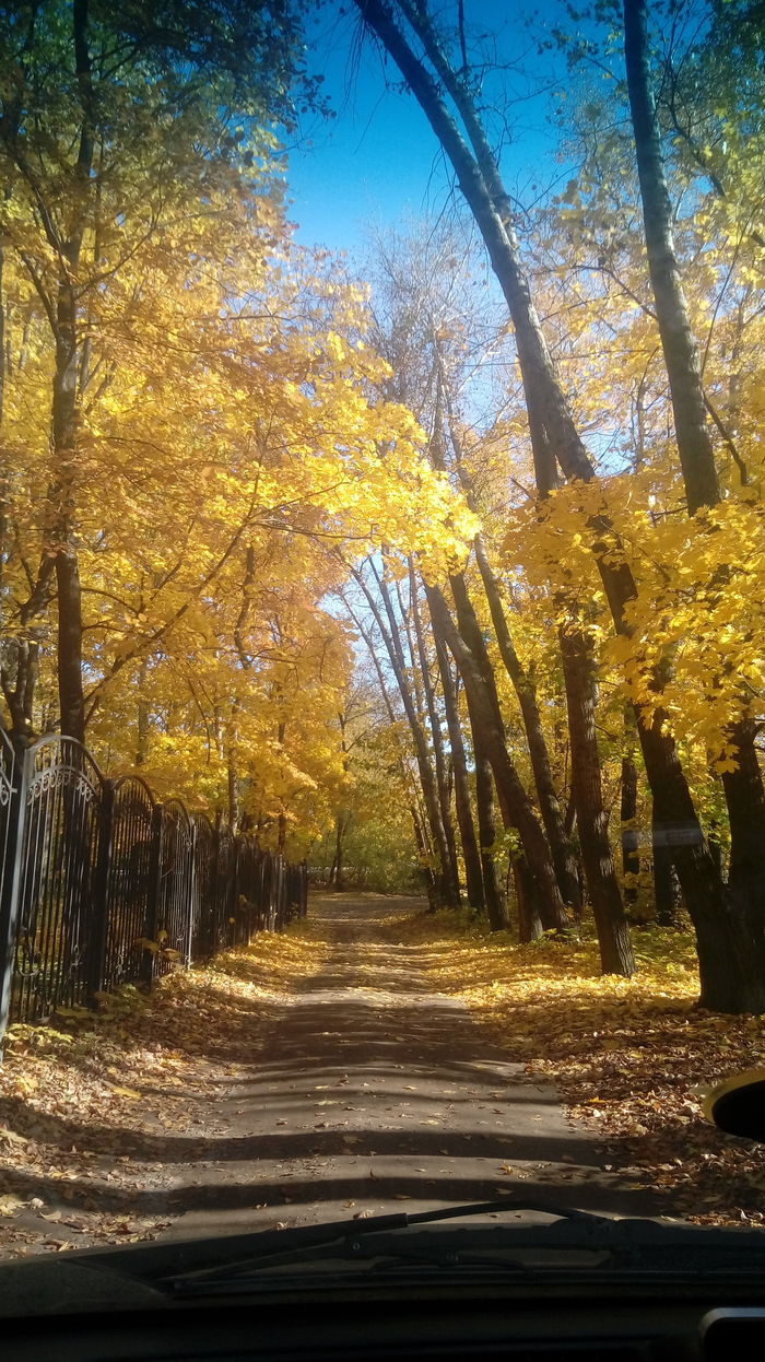 Autumn - Autumn, My, The photo, Moscow