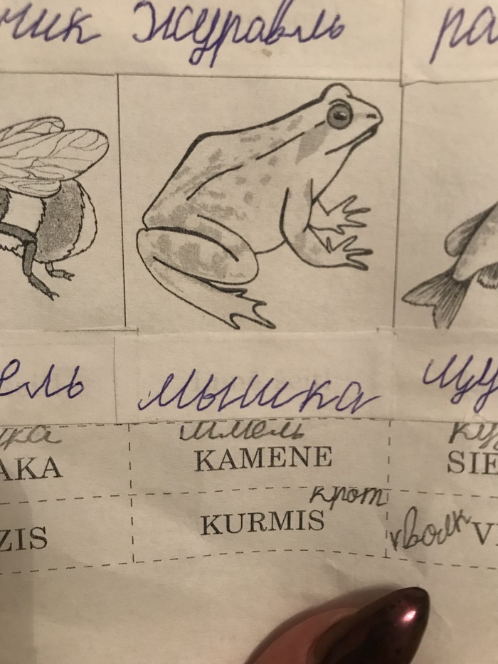 Когда ты не самый умный ребёнок в школе