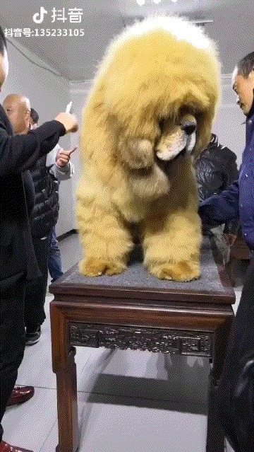 Большой мальчик