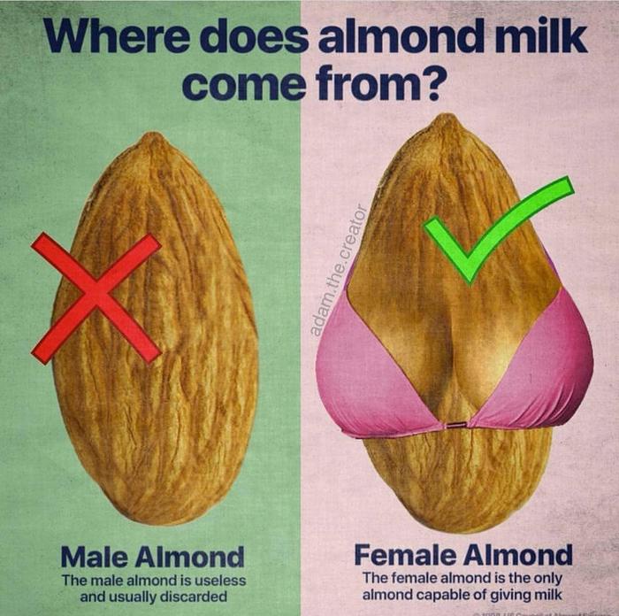 Where does almond milk come from? - Nuts, Almond milk