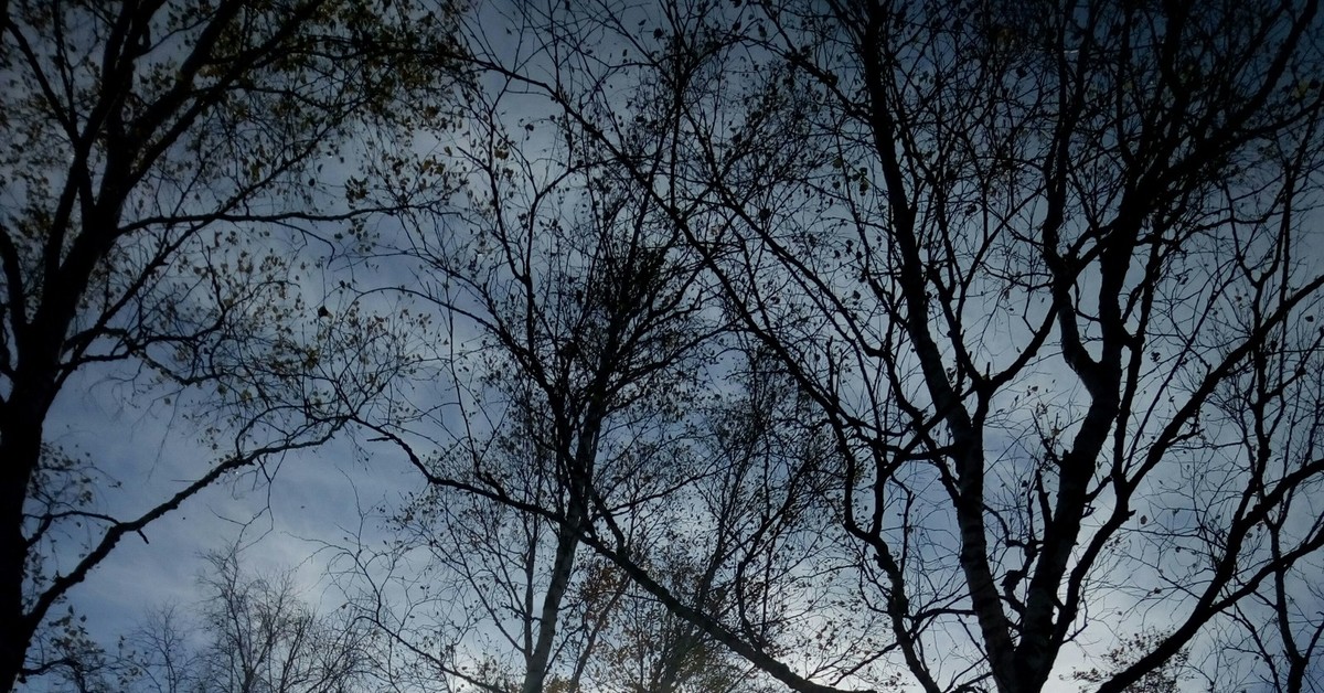 Всяк кулик... | Пикабу