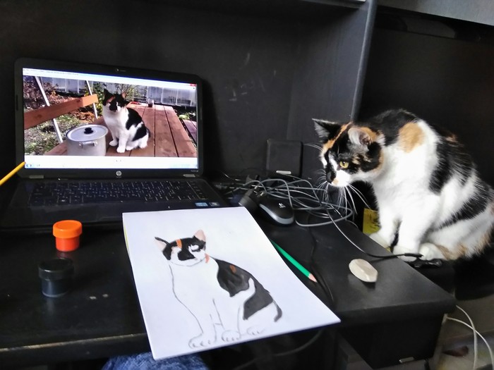3D CAT - My, cat, Milota