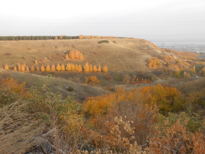 A bit of Saratov autumn. - My, Saratov, Autumn, Forest, The mountains, First long post, beauty of nature, Longpost