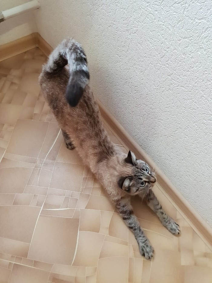  , 