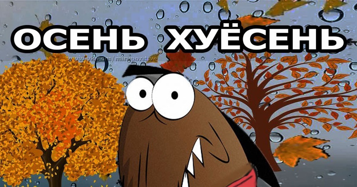 Смешные Картинки Про Осень Для Детей