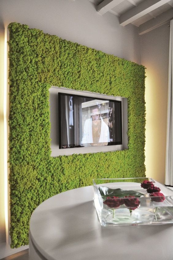 Phytodesign: combining style with sustainability - Design, Interior, Apartment, Repair, Moss, , Longpost