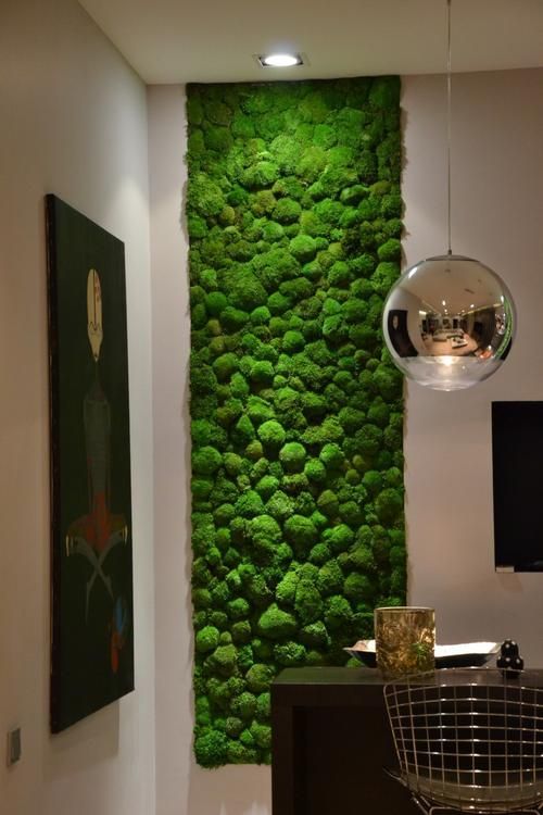 Phytodesign: combining style with sustainability - Design, Interior, Apartment, Repair, Moss, , Longpost