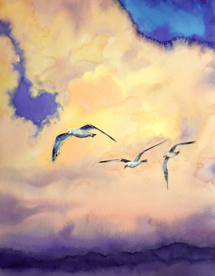 3 seagulls - My, Watercolor, Wet watercolor, Black Sea, Sea, Painting, Drawing