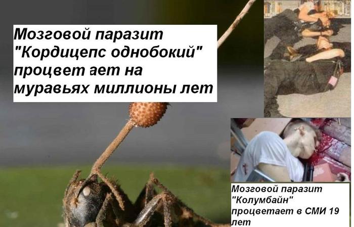 Гаг уходит в преисподнюю. - Моё, Керчь, Длиннопост, Мозговые паразиты, Стругацкие