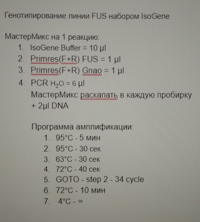 PCR, sho tse take? - PCR, Genetics, Molecular biology, Longpost