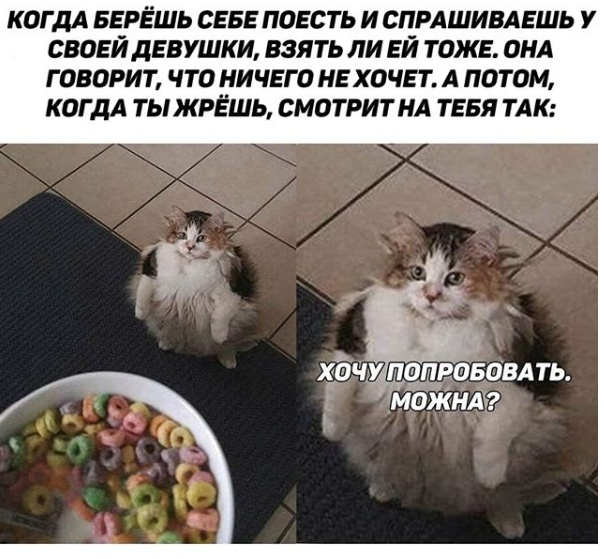 Relationship - cat, Food, Relationship, Girls