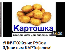 CAUTION VEGETABLES! - Vegetables, Idiocy, Теория заговора, , Longpost, Slavs