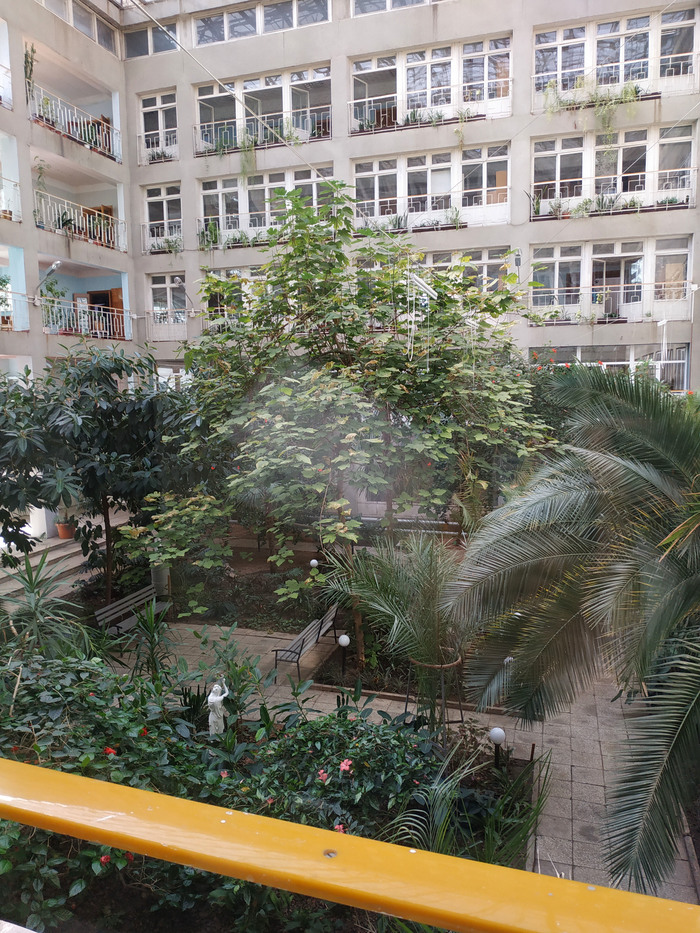 I also came to the city clinic or what a real greenhouse should look like - My, Polyclinic, Winter Garden, Kharkov, Hospital, Longpost