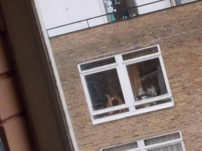 Порно в окне со своими соседями
