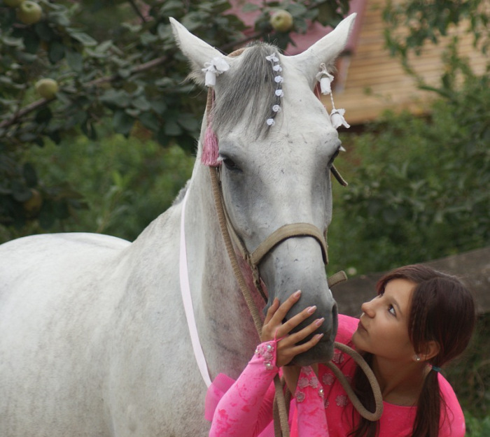 Photoshoot with a horse. Part II: Tips for the Photographer and the Model (from Equestrian) continued - My, Horseback Riding, Horses, On horseback, PHOTOSESSION, Animals, Landscape, Longpost