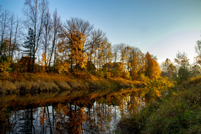 Autumn in Tosno - My, The photo, Autumn, Tosno, October, Nature, Longpost