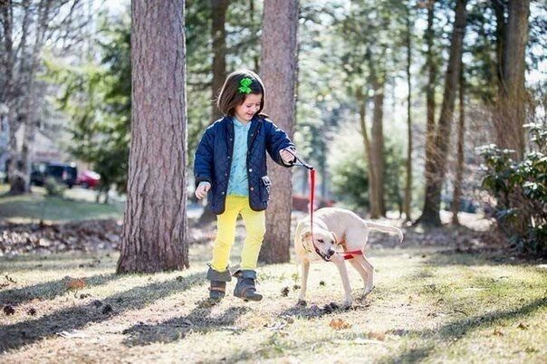 A dog named Luna, dying of hunger, was saved by people with kind and sympathetic hearts. - Dog, Dogs and people, Good league, Kindness, Help, Animals, The photo, Humanity, Longpost