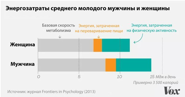 Всё, что нужно знать о метаболизме - Моё, Спорт, Тренер, Спортивные советы, Питание, Метаболизм, Обмен веществ, Мифы, Исследования, Длиннопост