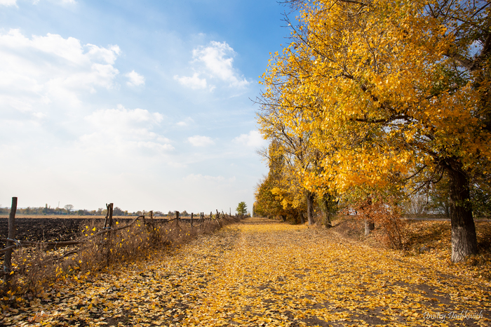 Autumn - My, Dniester, Autumn, Longpost